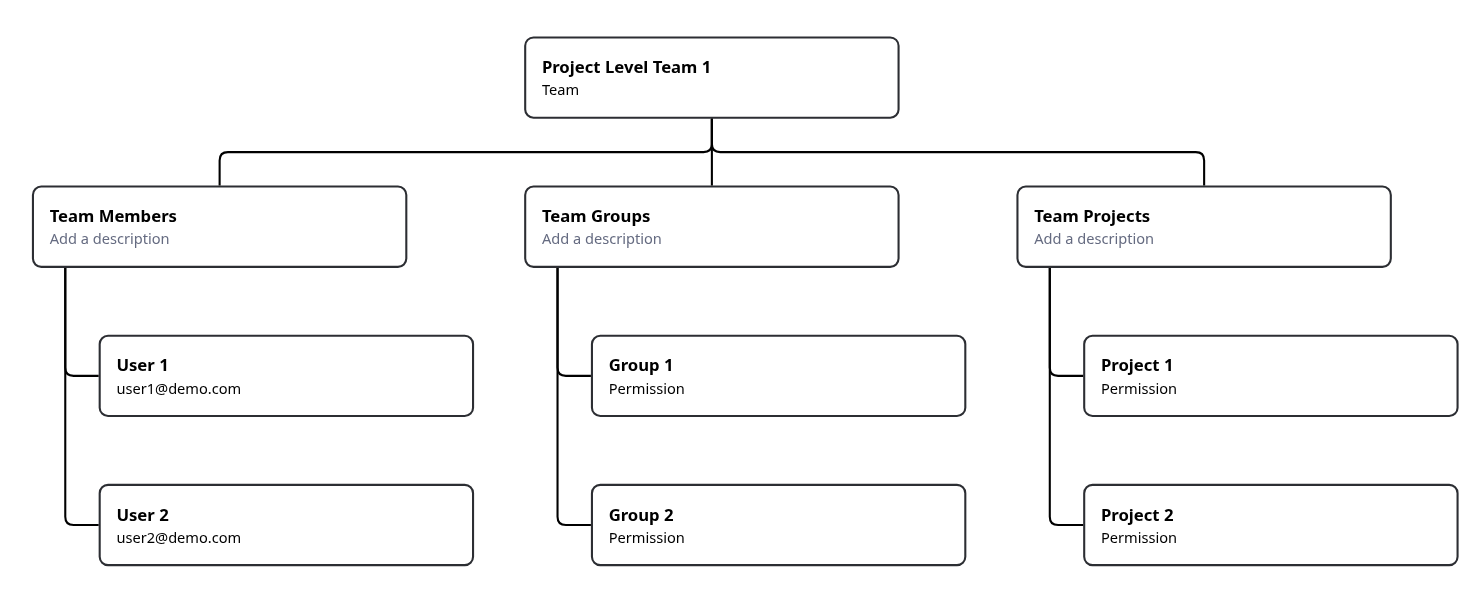 Project Level Team Structure
